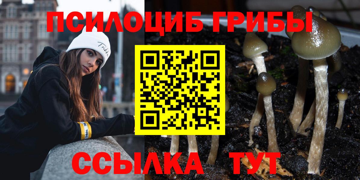 Псилоцибиновые грибы мицелий  Вход с VPN  Строитель 