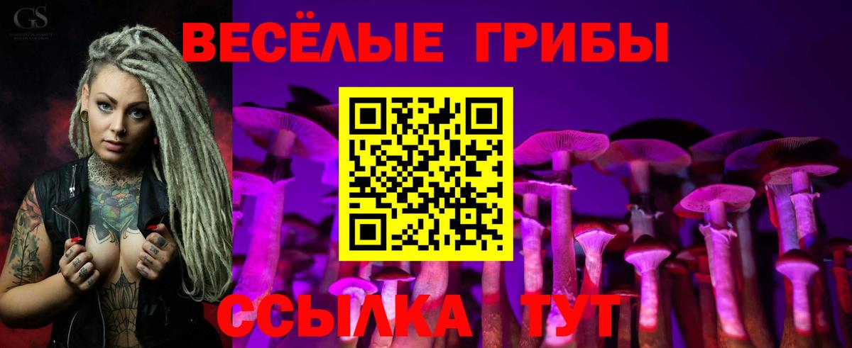Галлюциногенные грибы MAGIC MUSHROOMS Строитель